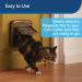 PetSafe Staywell Magnetic Collar Key - Pack of 2 | Selective Entry for Cats | Convenient Microchip Alternative | Black - Buy Online on GoSupps.com