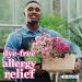 A+Health Allergy Relief Diphenhydramine HCl 50mg Tablets Extra Strength 150 Count Dye-Free Antihistamine Runny Nose Sneezing Watery Eyes Unflavored 150 Count - Buy Online on GoSupps.com
