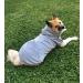 Ducomi Hood Dogs Sweatshirt | 100% Cotton Medium Dog Sweater | Warm Monochrome Coat for All Breeds | Sizes XS to 9XL (Gray 3XL) - Buy Online on GoSupps.com