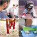 Mr. Pen Self Adhesive Bandage Wrap 2 x 5 Yards, 6 Pack | Assorted Colors | Elastic, Self Stick, Stretch, Self Adherent Medical Bandage - Buy Online on GoSupps.com