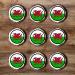 48 Welsh Dragon Cupcake Toppers Edible Welsh Flag Cupcake Decorations St Davids Day Decorations Rugby Cake Decorations Dragon Cake Topper Rugby Cake Topper Daffodil Decorations Welsh Bunting - Buy Online on GoSupps.com
