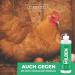 Silver Power Mite Powder 100g - Effective Mite Protection for Chickens & Birds | Anti-Mite Solution Against Red Bird Mite | Guaranteed Defense - Buy Online on GoSupps.com