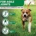 Senior Dog Joint Supplements - Glucosamine & Chondroitin - Pain Relief & Mobility Support - 120 Chicken Flavour Tablets - Buy Online on GoSupps.com