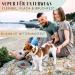 NE & NO Food Bowl for Small Dogs & Puppies - Silicone Wide Design for Dry & Wet Food - Travel & Camping Bowl (Steel Blue) - Buy Online on GoSupps.com