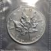 Assorted 1 oz .999 Silver Maple Leafs