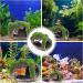 Shop Aquarium Decoration - Realistic Moos Deko Resin Cave Ornament for Fish & Shrimp | 3.34 x 2.55 x 2.75 inches - B-green - Buy Online on GoSupps.com