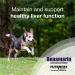 Nutramax Denamarin Liver Health Supplement for Medium Dogs - Medium Dog (13-34 lbs) - Buy Online on GoSupps.com