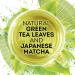 Lipton Magnificent Matcha Tea Bags - 15 Count, 4 Pack Green Tea with Real Japanese Matcha - Buy Online on GoSupps.com