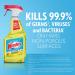 Windex Multi-Surface Cleaner & Disinfectant Spray Citrus Fresh 23 fl oz - Pack of 1 - Buy Online on GoSupps.com