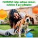 Flonase Allergy Relief Nasal Spray - 24 Hour Non Drowsy Medicine - 144 Sprays (Pack of 2) - Buy Online on GoSupps.com