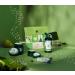 The Body Shop Pears & Share Essential Body Care Holiday Gift Set Vegan 4-Piece Set' - Buy Online on GoSupps.com