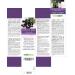 Black Elder Flowers and Fruits Mother Tincture 100ml | Alcohol-Free Liquid Extract Drops | Vegan Food Supplement by Naturalma - Buy Online on GoSupps.com