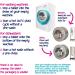 Ecozone Washing Machine & Dishwasher Cleaner Tablets 2-in-1 Treatment Kit Cleans De-scales & De-odorises Fragrance Free Plastic Free Natural Vegan Friendly Plant-Based Cleaning (Pack of 12) 6 count (Pack of 2) - Buy Online on GoSupps.com