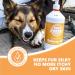 Pets Purest Scottish Salmon Oil - 2 x 300ml Omega 3, 6 & 9 Fish Oil Topper for Pets | Natural Coat & Immune Support, Itchy Skin Relief, Joint & Brain Health - Buy Online on GoSupps.com