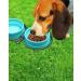 KALLAK Collapsible Silicone Twin Dog Bowls with Zipper Silicone Case Foldable Travel Dog Bowls Expandable Cup Dish No Spill Non-Skid Silicone Pet Food and Water Feeder Bowl with Carabiner Clip - Buy Online on GoSupps.com