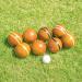 Funliktod Hardwood Bocce Ball Set - 8 Wooden Balls, Pallino, Carry Case & Measuring Tape - Family Outdoor Game Set (2.95') - Buy Online on GoSupps.com
