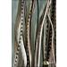 Grizzly Extensions Clip-In Feather Extensions - Black & White for Blonde Hair | Premium Quality & Easy Application - Buy Online on GoSupps.com