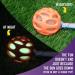 Chew King Fetch Balls: Durable Natural Floating Dog Toy with Squeaker Ball - 4.5 - Buy Online on GoSupps.com