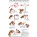 PetSafe Gentle Leader Chic Head Collar - Small Size Donuts Design for Comfortable Pet Control | International Shipping Available - Buy Online on GoSupps.com