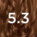 Garnier Nutrisse 5.3 Golden Brown Permanent Hair Dye - Natural-Looking Color for All Hair Types - Buy Online on GoSupps.com
