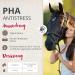 Pha Anti-Stress Liquid for Horses - 1L | Calm Nervousness & Enhance Well-Being with Vitamin B12 & Tryptophan | International Shipping Available - Buy Online on GoSupps.com