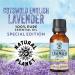 English Cotswold Lavender 15ML Essential Oil - 100% Pure, Undiluted & Therapeutic Grade - Buy Online on GoSupps.com