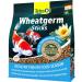 Tetra Pond WheatGerm Sticks - Fiber-Rich Fish Feed for Cool Water | 4L Bag - Optimal Nutrition for All Pond Fish - Buy Online on GoSupps.com
