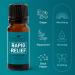 Plant Therapy Pain Support Essential Oil Blend Set - Ache Away Rapid Relief & Tension Relief - 10 mL Pure & Undiluted - Buy Online on GoSupps.com