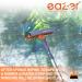 Eazer Professional 2-in-1 Window Squeegee with Extension Pole | Multi-Use Window Cleaner Tool for Window Washing | Multiple Angles for Effective Window Cleaning - Buy Online on GoSupps.com