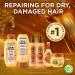Garnier Whole Blends Honey Treasures Repairing Shampoo & Conditioner Set - 22 Fl Oz (2 Items) - For Dry Damaged Hair - Buy Online on GoSupps.com
