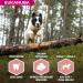 Eukanuba Senior Adult Dog Dry Food For Small and Medium Breeds Lamb & Rice 2.5kg - Buy Online on GoSupps.com