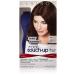 Clairol Nice n Easy Touch Up 5A Medium Ash Brown