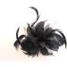 Feather and Flower Hair comb slide Fascinator with Glittery Spotty net Bridal Wedding Races Prom (Black) by Inca - Buy Online on GoSupps.com