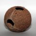 JBL 61513 Coconut Shell Cave for Aquariums & Terrariums - Cocos Cava | International Shipping Available - Buy Online on GoSupps.com