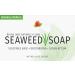 Reviva Original Formula Seaweed Soap 4.5 OZ - Naturally Cleanse & Deodorize Your Skin | Fresh Scented International Shipping - Buy Online on GoSupps.com