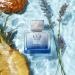 Banderas Antonio Perfumes - King of Seduction - Eau de Toilette for Men - Long Lasting - Masculine Intense and Energetic Fragrance - Bergamot and Apple Notes - Ideal for Day Wear - 1.7 Fl Oz Aquatic 1.7 Fl Oz (Pack of 1) - Buy Online on GoSupps.com
