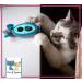 Doc & Phoebe's Indoor Hunting Cat Feeder Pack - Set of 3 - Buy Online on GoSupps.com
