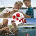 25PCS Easy Catch Snap-On Fishing Float Bobbers | 1 1/2 INCH Hard ABS Buoy Bobber - Buy Online on GoSupps.com