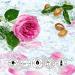 Yves Rocher Argan & Pink Body Milk and Shower Gel - Nourishing & Hydrating - International Shipping Available - Buy Online on GoSupps.com