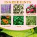 Organic Yoni Steam Herbs for Cleansing and Tightening - V Steam Kit (3.17 oz) | Vaginal Steam for Women - Buy Online on GoSupps.com