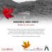 Escuminac 100% Pure Organic Canadian Maple Syrup 1L Family Size - Grade A Dark Robust Taste - Buy Online on GoSupps.com