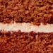 PME Cake Pr paration pour G teau aux Carottes (450g) - Buy Online on GoSupps.com