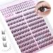 ALICE Natural Lash Clusters Wispy Eyelash Extensions Manga Clusters Lashes C Curl 11-13mm Short Anime Lash Extension with Bottom Lashes DIY Individual Lashes A - Manga Lash Clusters - Buy Online on GoSupps.com