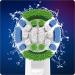 Braun Oral-B Precision Clean Toothbrush Heads - 10 Pack with Cleanmaximiser Bristles for Optimal Dental Care - Buy Online on GoSupps.com