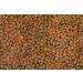 Yupik Organic Lentils Brown 2.2 lb Non-GMO Vegan Gluten-Free - Buy Online on GoSupps.com