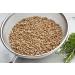 Organic Italian Pearled Farro 1lb - Kosher Vegan Grain | High Fiber | Bulk Pack - Buy Online on GoSupps.com