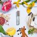 Echo Lake Rollerball Fragrance Oil - Unisex 0.33 oz (10 ml) - Lake & Skye - Buy Online on GoSupps.com