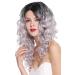 Buy WIG ME UP RGF-6467C-T1B/SILVER - Long Voluminous Ombre Black to Silver Grey Women's Wig - Buy Online on GoSupps.com