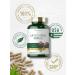 Carlyle Artichoke Extract Capsules 8000mg - 200 Count | Non-GMO & Gluten-Free Supplement - Buy Online on GoSupps.com