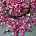 Edible 'Enchanted Forest' Pink Red and Burgundy Rose with Blue Cornflower Dried Flower Petal Mix - 50g - Food Grade - Culinary - Cake - Bake - Decoration (184) Cornflower 50g - Buy Online on GoSupps.com